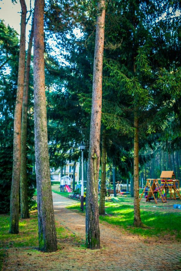 Dmuchawiec Lukecin Exterior photo
